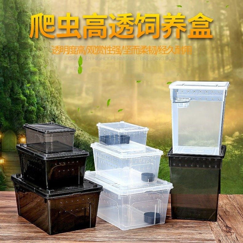 爬宠饲养盒蜗牛蜘蛛角蛙乌龟大中小号树栖躲避造景两栖爬虫饲养箱,淘宝优惠券,粉丝福利购,淘宝优惠卷