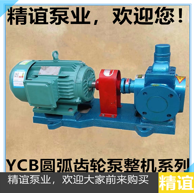 包邮圆弧齿轮油泵YCB1.6/0.6柴油泵 增压泵 自吸泵 齿轮油泵整机,淘宝优惠券,粉丝福利购,淘宝优惠卷