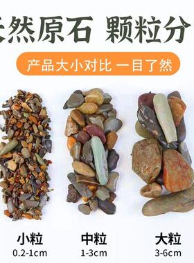天然鹅卵石原生溪流石鱼缸铺底砂水族箱装饰过滤造景天然砂石庭院