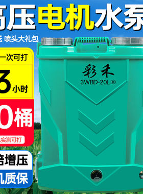 德国进口背负式电动喷雾器农用新型打药机充电喷壶高压消毒锂电池