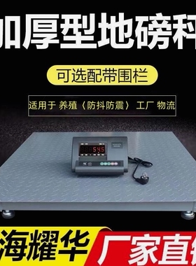 上海耀华地磅秤吨工业养