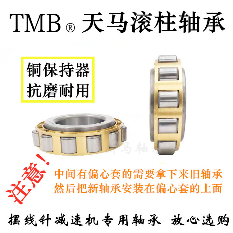 TMB天马滚柱轴承RN204 RN205 RN206 RN219 RN307 RN309 RN312M - 图2