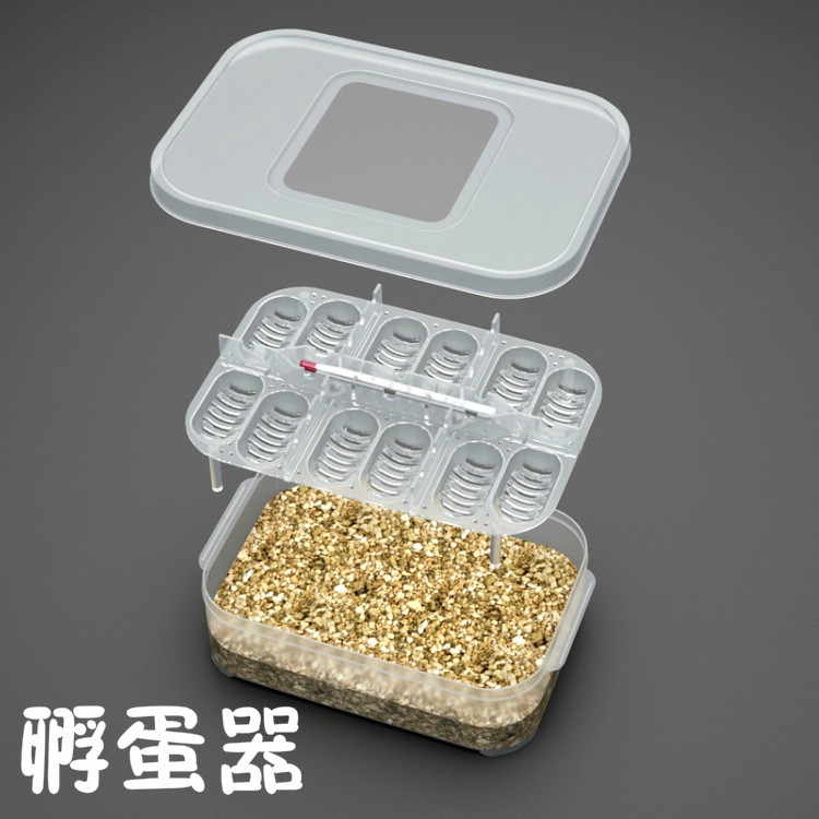 乌龟蛋孵化盒孵化器水龟蛋蜥蜴蛋蛇蛋鸟蛋鸽子蛋孵化箱繁殖产蛋盒,淘宝优惠券,粉丝福利购,淘宝优惠卷
