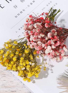 Mini Decorative Dried Flowers Babysbreath Flowers Bouquet Na