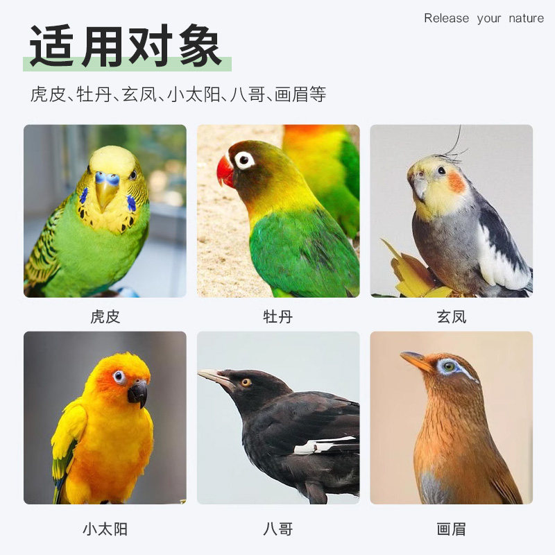 鹦鹉鸟专用秋千吊环磨爪棒虎皮玄凤鸟笼啃咬鹦鹉玩具,淘宝优惠券,粉丝福利购,淘宝优惠卷