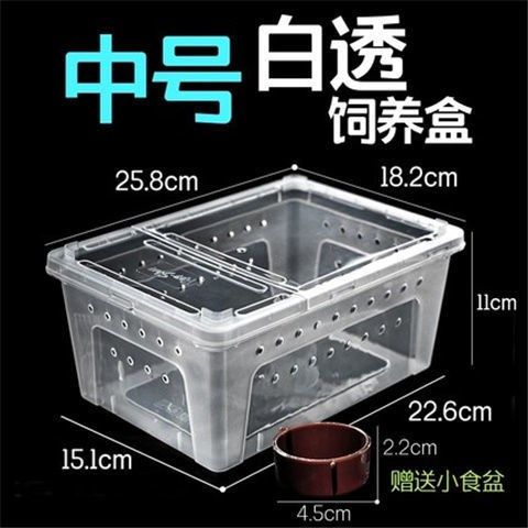 爬宠饲养盒蜗牛蜘蛛角蛙乌龟大中小号树栖躲避造景两栖爬虫饲养箱,淘宝优惠券,粉丝福利购,淘宝优惠卷