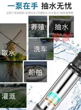 直流潜水泵12v24v48v60v72伏通用电动车水泵电瓶抽水机直流深井泵