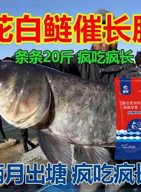 雄牧花白鲢速长肥鲢鳙养殖正品花鲢鱼专用肥水养殖增肥催长饲料肽