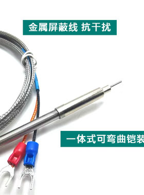 K型铠装热电偶WRNK-191针型电热偶可弯曲探头PT100/E/J温度传感器