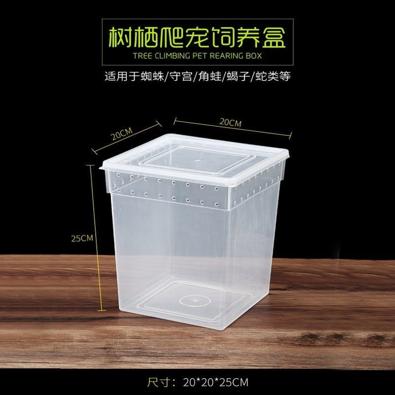 爬宠饲养盒蜗牛蜘蛛角蛙乌龟大中小号树栖躲避造景两栖爬虫饲养箱,淘宝优惠券,粉丝福利购,淘宝优惠卷