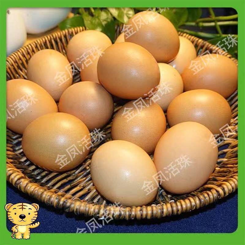 金凤活珠子13天新鲜毛鸡蛋开袋即食五香瑾贝活珠子钢蛋鸡胚蛋10枚,淘宝优惠券,粉丝福利购,淘宝优惠卷