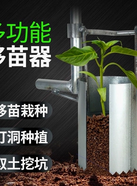 德国进口日本秧苗菜玉米