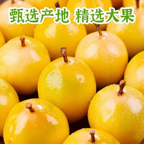 正宗广西钦蜜9号黄金百香果新鲜大果5斤黄色原浆水果应季当季整箱 - 图3