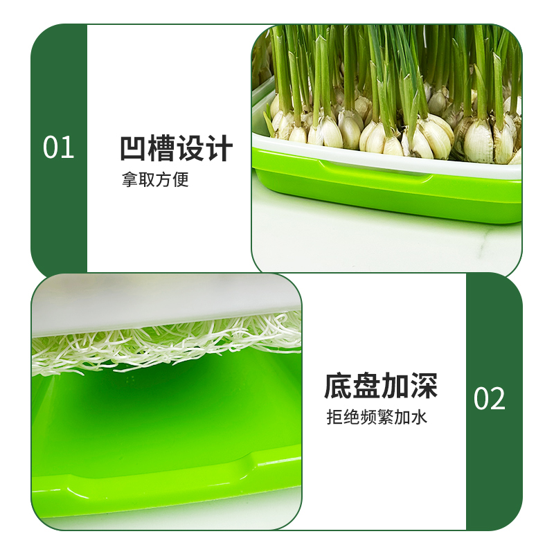 蒜苗蒜黄种植盆发豆芽菜芽苗菜家用育苗盘盒专用水培器皿种蒜神器