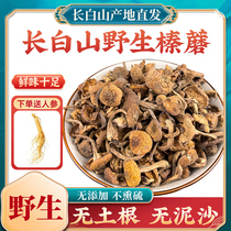 2023 new cargo Changbai Mountain special production class wild hazelnut mushroom Northeast small chicken stew mushrooms Ding dry goods No root to root 500g