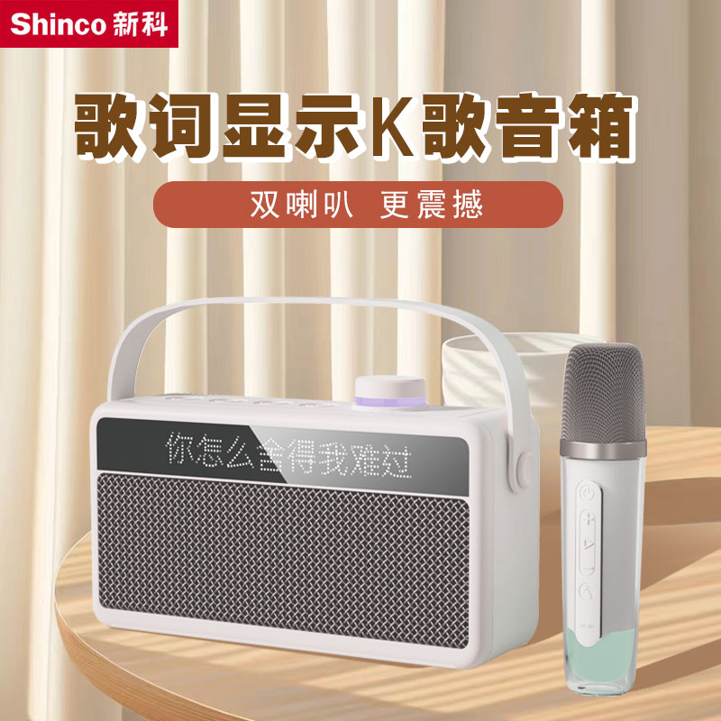 新科蓝牙音响一体显示歌词手提式唱K歌家用无线音箱低音炮大音量