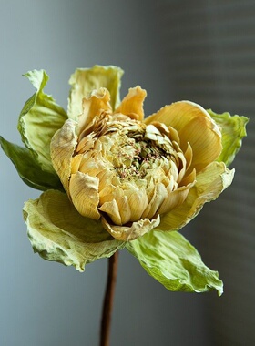 全荷花真莲花花束插花客厅家居禅意软装桌面自然干花装饰摆件包邮