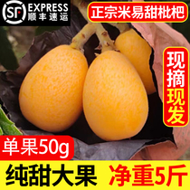 Loquat Fresh Great Fruits Sichuan Climbing Branches Flowers Miyi Loquat Fresh Fruits Now Found in Season Fruits Whole Boxes Pipa Fruits