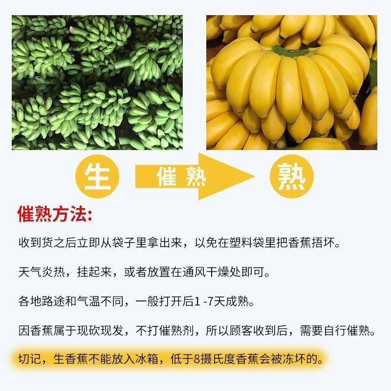 广西正宗小米蕉9斤新鲜香蕉芭蕉水果香焦自然熟整箱苹果蕉粉蕉甜,淘宝优惠券,粉丝福利购,淘宝优惠卷