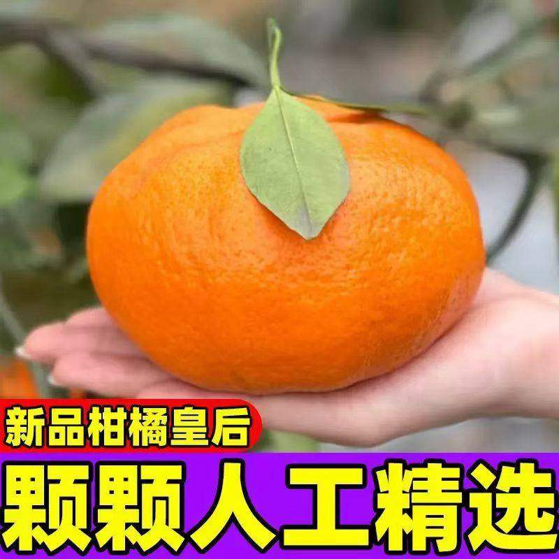 正宗甘平柑橘皇后礼盒当季新鲜水果蜜橘子纯甜小金桔子非粑粑柑,淘宝优惠券,粉丝福利购,淘宝优惠卷