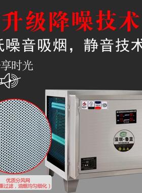 油烟净化器低空排放油烟净化器商用饭店厨房8000风量餐饮烧烤过环