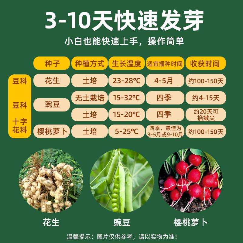 儿童种植观察种子发芽生长科学实验套装小学生diy盆栽迷宫植物 - 图1