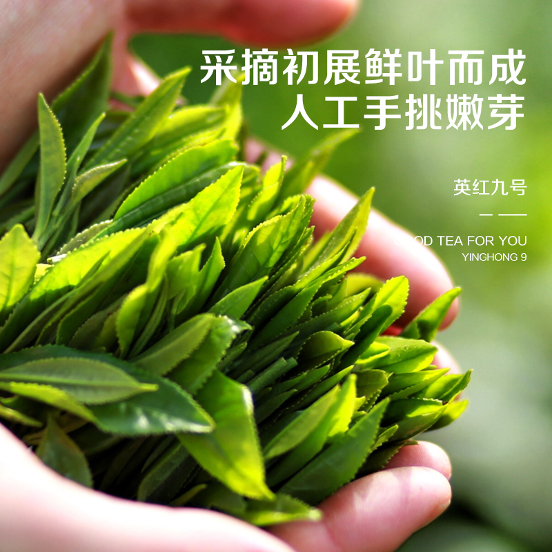 玄蝉茶叶正宗英德红茶英红九号浓香型茶叶广东特产红茶袋装100g