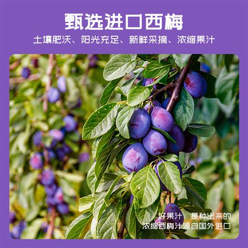 【燃轻一夏】益生元西梅饮8倍浓缩新鲜原浆白芸豆食用营养通畅 - 图2