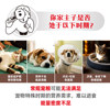 Royal Canin Cat Recovery Prescription Can