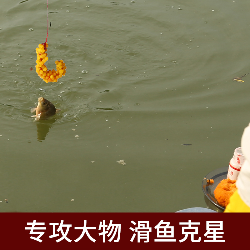 舟三公摇三摇鱼饵粘米胶鲫鱼鲤鱼红虫蘸饵空钩钓粘粉饵野钓饵料 - 图2