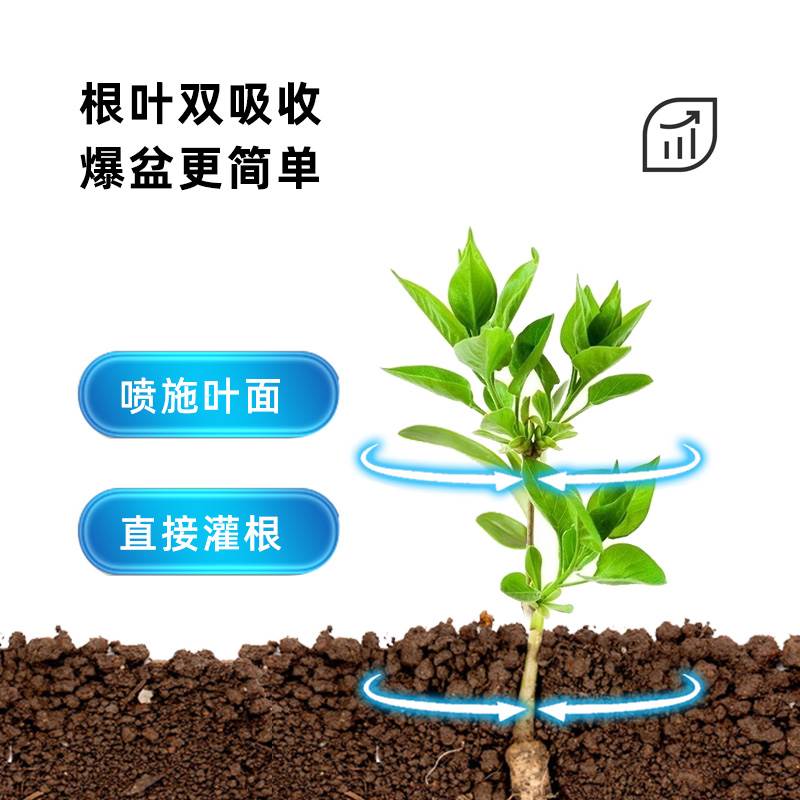 花草博士浓缩营养液【拍二发三】盆栽家用通用型花肥料水培植物肥-图2