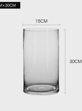花瓶摆件客厅插花玻璃雪柳水培醉木富贵竹透明直筒马绿植王金