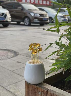 淄博琉璃摆件博山多肉豆芽盆栽仙人掌铃兰花植物水晶玻璃创意