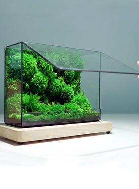 四面透明玻璃几何生态花房桌面装饰迷你雨林缸微景观森林玻璃盒