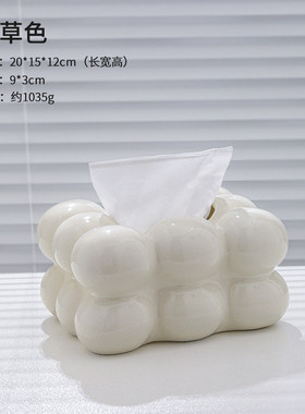 北欧风轻奢法斗电镀银抽纸盒家居客厅装饰摆件饰电视柜创意纸巾盒