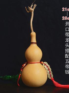 带龙头大号自然生长葫芦摆件挂件开口葫芦福禄家居工艺品创意
