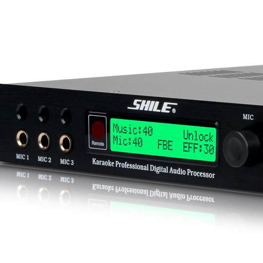 Lion Professional Music Effector Tianqin No. 5 Karaoke Prestage Digital Tuner Microphone Anti-Howling Reverberator