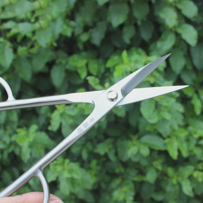 千藤坊不锈钢215mm叶芽剪插花剪刀切枝园艺剪刀量从优大一件也批,淘宝优惠券,粉丝福利购,淘宝优惠卷