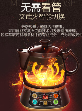 金灶全自动熬药中药壶养生壶
