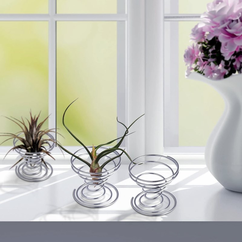 6 Pieces Air Plant Stand Airplant Container Tillandsia Holde - 图1