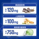 ພະລັງງານອົກຊີເຈນທີ່ອອກຊິເຈນ 3-ginseng-in-one ashwagandha capsule cortisol ginseng black ginger extract ໄລຍະເວລາຊົ່ວຄາວ
