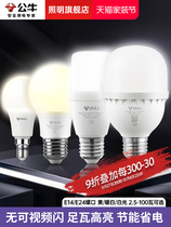 Bull Bulb Screwed Led Lamp Energy Saving Home Super Bright e27 Threaded Electric Lamp Pendant Lamp White Incandescent Spiral Type Bubble