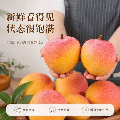云南澳芒大芒果斤当季热带新鲜水果青皮甜心凯特芒苹果芒整箱包邮 - 图3
