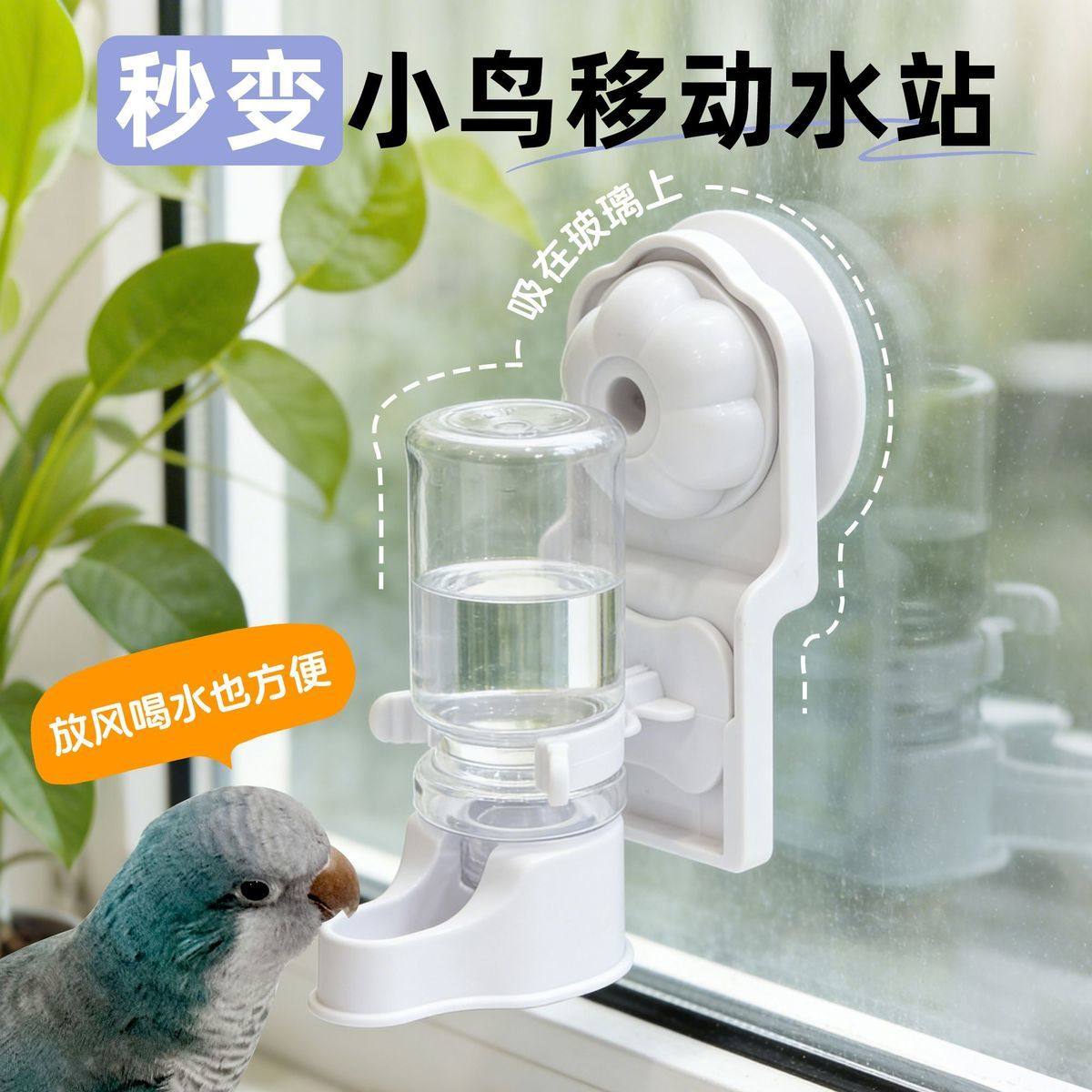 鹦鹉吸盘水壶学吃食盒鸟类防溅撒食盆保温箱吸盘食槽水碗免打孔,淘宝优惠券,粉丝福利购,淘宝优惠卷