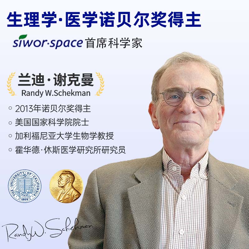 氨基丁酸y赖氨酸儿童青少年生长素维生素钙片gaba官方旗舰店正品 - 图0