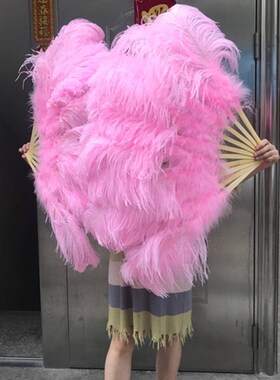 热销羽毛扇鸵鸟h毛扇子 肚皮舞蹈蹦迪酒吧表演演唱会道具羽毛扇子