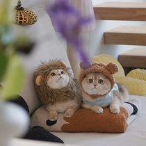 Small lion pet headgear cartoon to blame kitty head accessories hat bunny ears little frogs cute knit dress