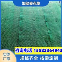 Polypropylene Plus Gluten Mack Mat Riverway Governance Protection Slope Ecological Greening Restoration Solid Soil Plant Raw Mat Three-dimensional Vegetation Net