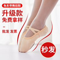 Free Band Dance Shoes Girl Soft-bottom Adult Children Practice Shoes Cat Paw Body Yoga Ballet China Dance Shoes