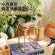 Office desktop flower shelf storage rack green plant pot bracket